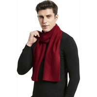 Cashmere Winter Scarf for Men - Ryan