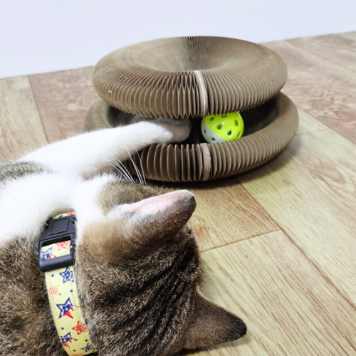 Magisch Speel- en Krabbed voor Katten - PurrPlay Sphere