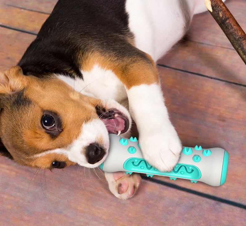 Zahnreinigendes Kau-Spielzeug für Hunde – Chewly