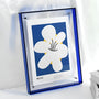 Blauwe acryl lijst met een illustratie van een grote witte bloem op blauwe achtergrond, tegen een lichte muur. 14