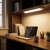Lichtbalk onder een plank boven een houten bureau met laptop, boeken, pennenbak en plant, waarbij het werkblad warm wordt verlicht. 4