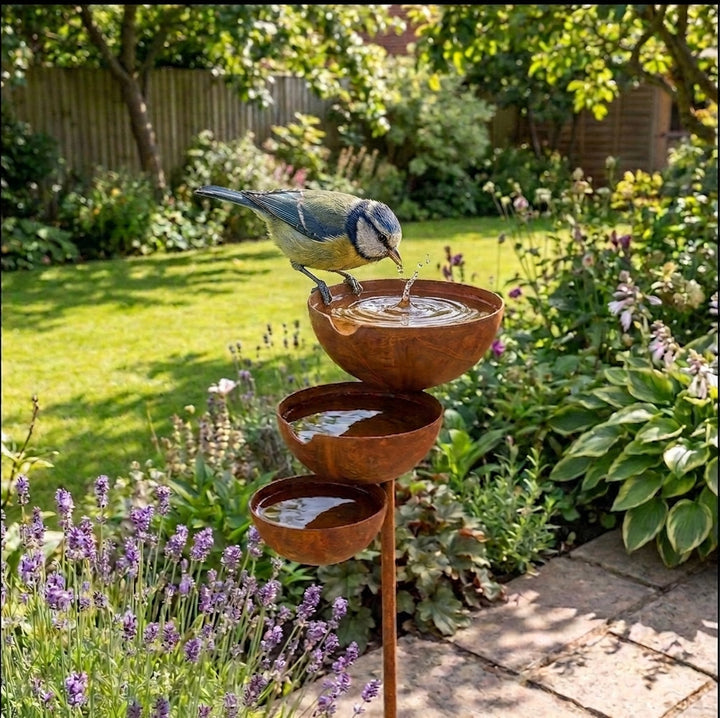 Pimpelmees drinkt van water in de bovenste schaal, met lavendel en een tuinpad ervoor 5