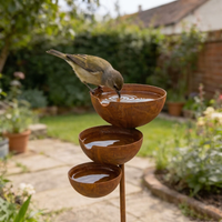 Kleine vogel buigt voorover om te drinken uit de bovenste schaal in een binnentuin 7