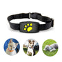 Intelligentes GPS-Halsband für Katzen und kleine Hunde – PawTrack