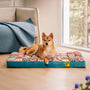 Luxuriöses marokkanisches Hundebett - CasablancaDream