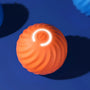 Automatisches interaktives Hundespielzeug - RolliPlay
