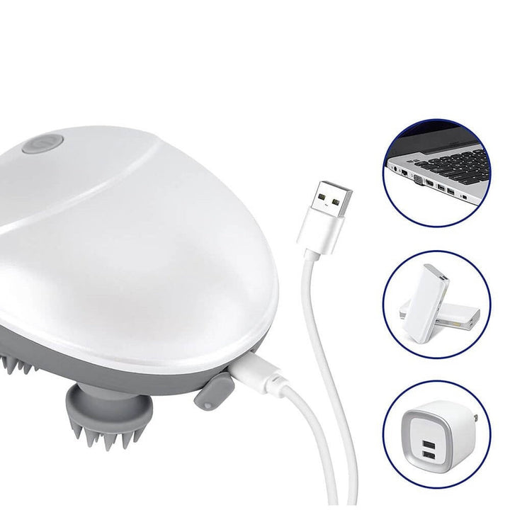 Elektrischer Massager für Haustiere und Menschen - PurrEase