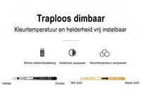 Infographic over dimbaar licht met pictogrammen voor afstandsbediening, helderheid en kleurtemperatuur 15