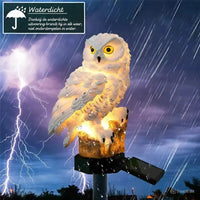 Witte uil met oplichtend lichaam op boomstronk, bespat met regendruppels tijdens onweer met bliksem, om de weerbestendigheid te tonen. 1