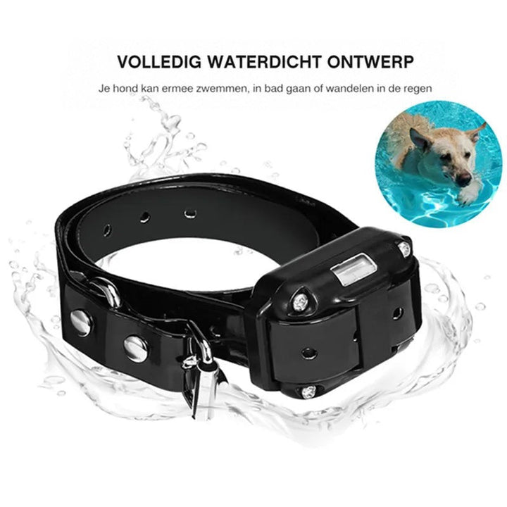 Zwarte halsband omgeven door opspattend water, met een zwemmende hond in een inzetfoto die de waterdichte uitvoering toont 7
