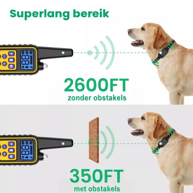 Labrador met halsband en afstandsbediening die het zendbereik laat zien, zonder obstakel en met een bakstenen muur ertussen 4