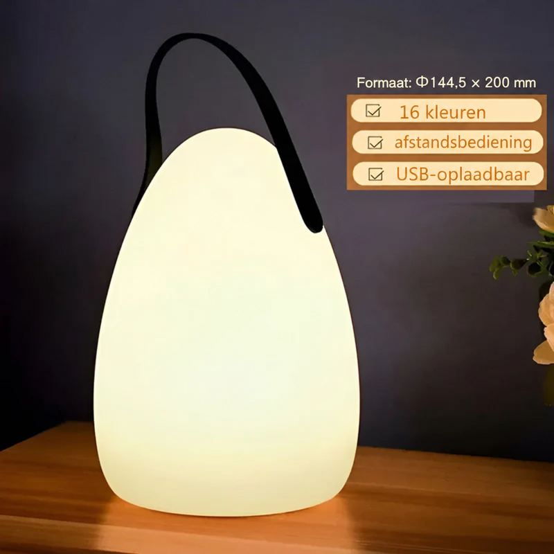 Eivormige lamp met zwarte lus op een houten tafel, met afmetingen en functies erbij 6