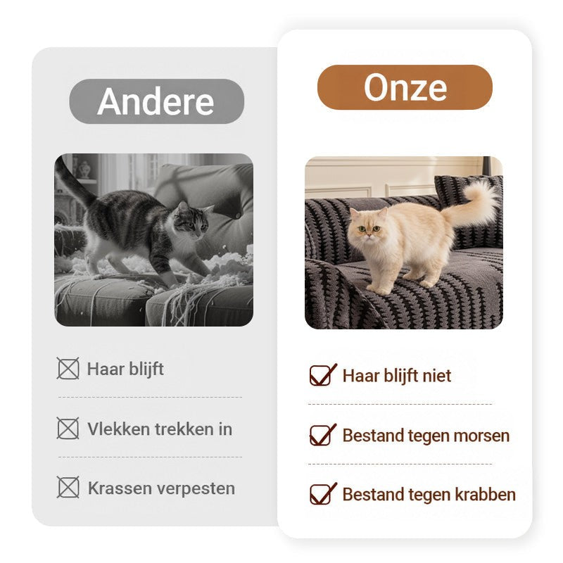 Vergelijking tussen een kat op een beschadigde bank en een kat op de bankhoes 4