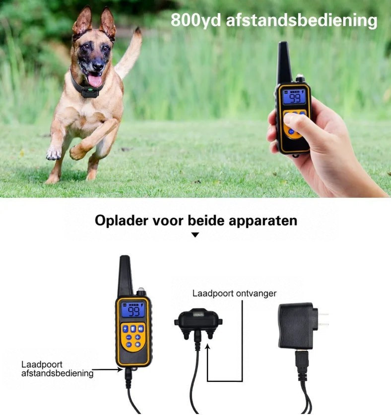 Hond rent door het gras terwijl een hand de afstandsbediening vasthoudt, met onderaan het schema voor het opladen 5