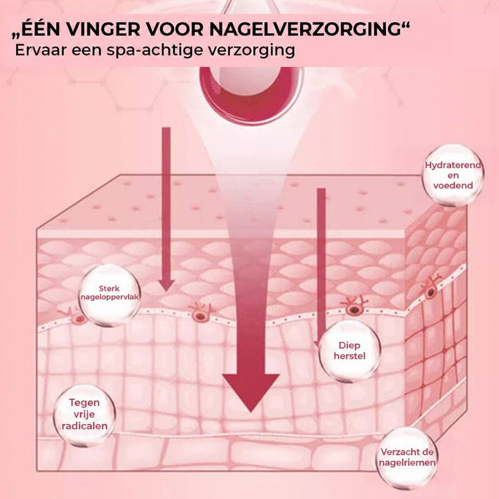 Roze doorsnede van de huid met pijlen die laat zien hoe de olie dieper doordringt 7