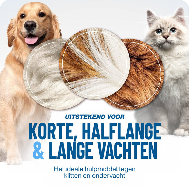 Golden retriever en langharige witte kat met drie close-ups van vacht, voor korte, halflange en lange vachten. 5