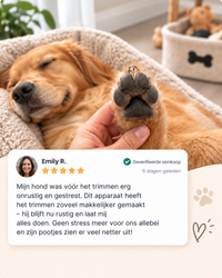 Slapende hond in een mand met een poot omhooggehouden, naast een klantbeoordeling met vijf sterren 8