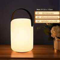 Cilindervormige lamp met zwarte handgreep op een houten plank, met afmetingen en functies erbij 9