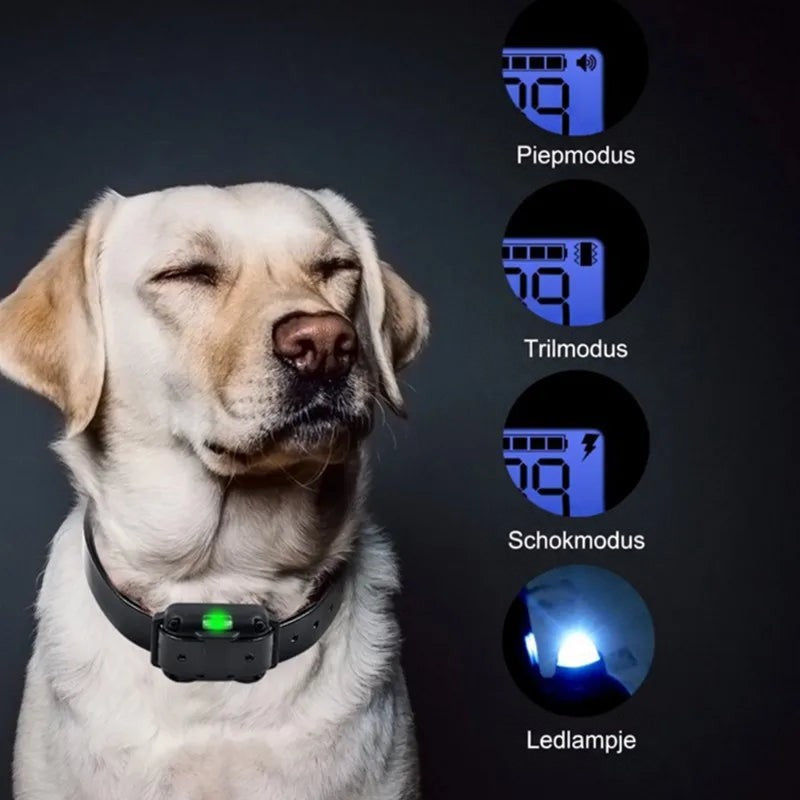 Labrador met halsband naast vier schermpjes die de pieptoon-, trilling-, schok- en ledlichtstand van de afstandsbediening 9
