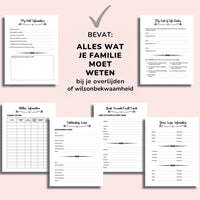 Overzicht van zes invulpagina's op een roze achtergrond: testament, laatste wensen, nutsvoorzieningen, openstaande leningen, bankrekeningen en inloggegevens van 6