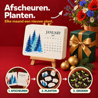 Januari-kalenderkaart op houten ezeltje met kerstversiering en drie stappen: scheuren, planten in een pot, kiemplantjes 1
