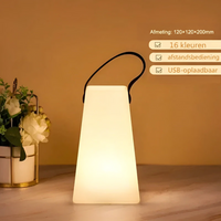 Conische lamp met zwarte lus naast een bloemenpot, met afmetingen en functies erbij 10