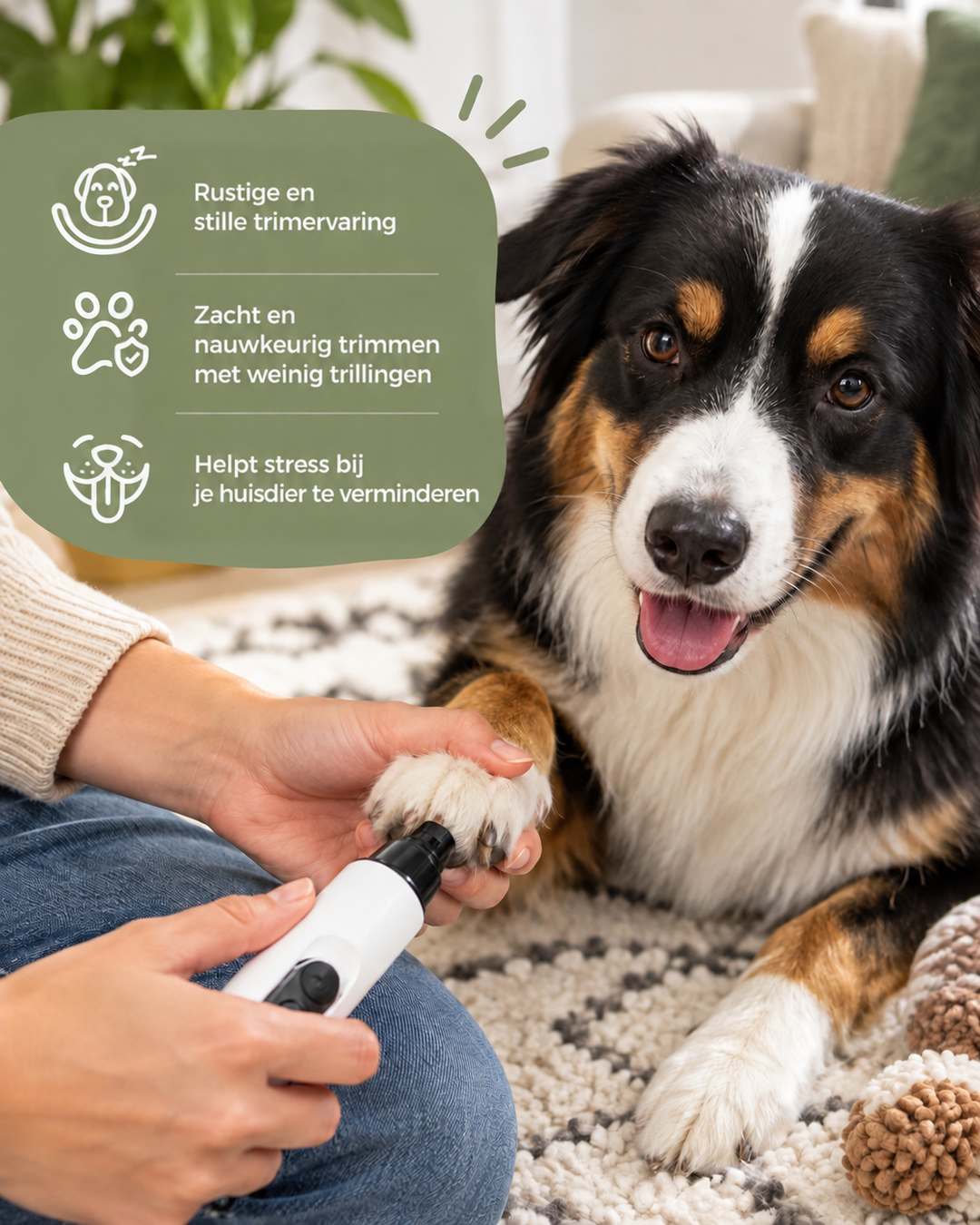 Vrouw vijlt de nagels van een driekleurige hond op een tapijt, met kenmerken van de vijl in een groen vlak 3