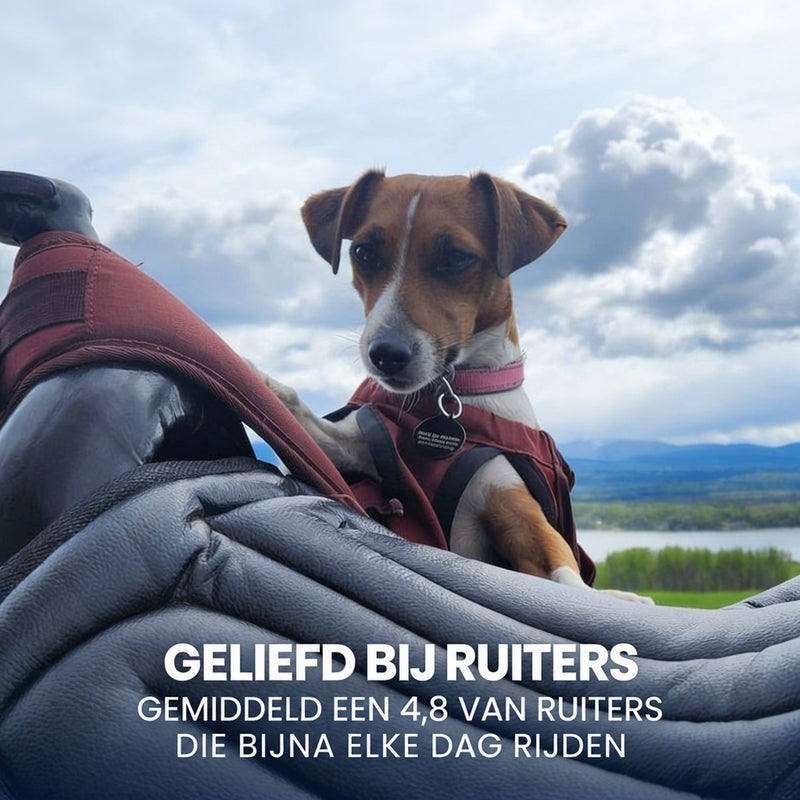 Jack Russell-hondje in rood jasje leunt op een grijs gewatteerd zadelkussen, met bergen op de achtergrond 7
