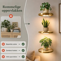 Vergelijking van een rommelig dressoir met planten naast drie verlichte gouden wandplanken met planten, die ruimte en hoeken oplossen. 2