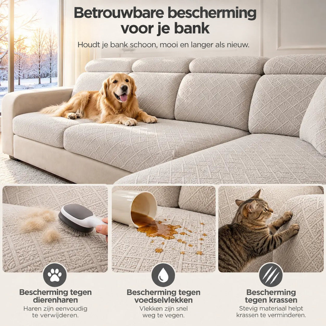 Golden retriever op een crème bank, met kleine foto's van haren borstelen, gemorste koffie en een krassende kat 5