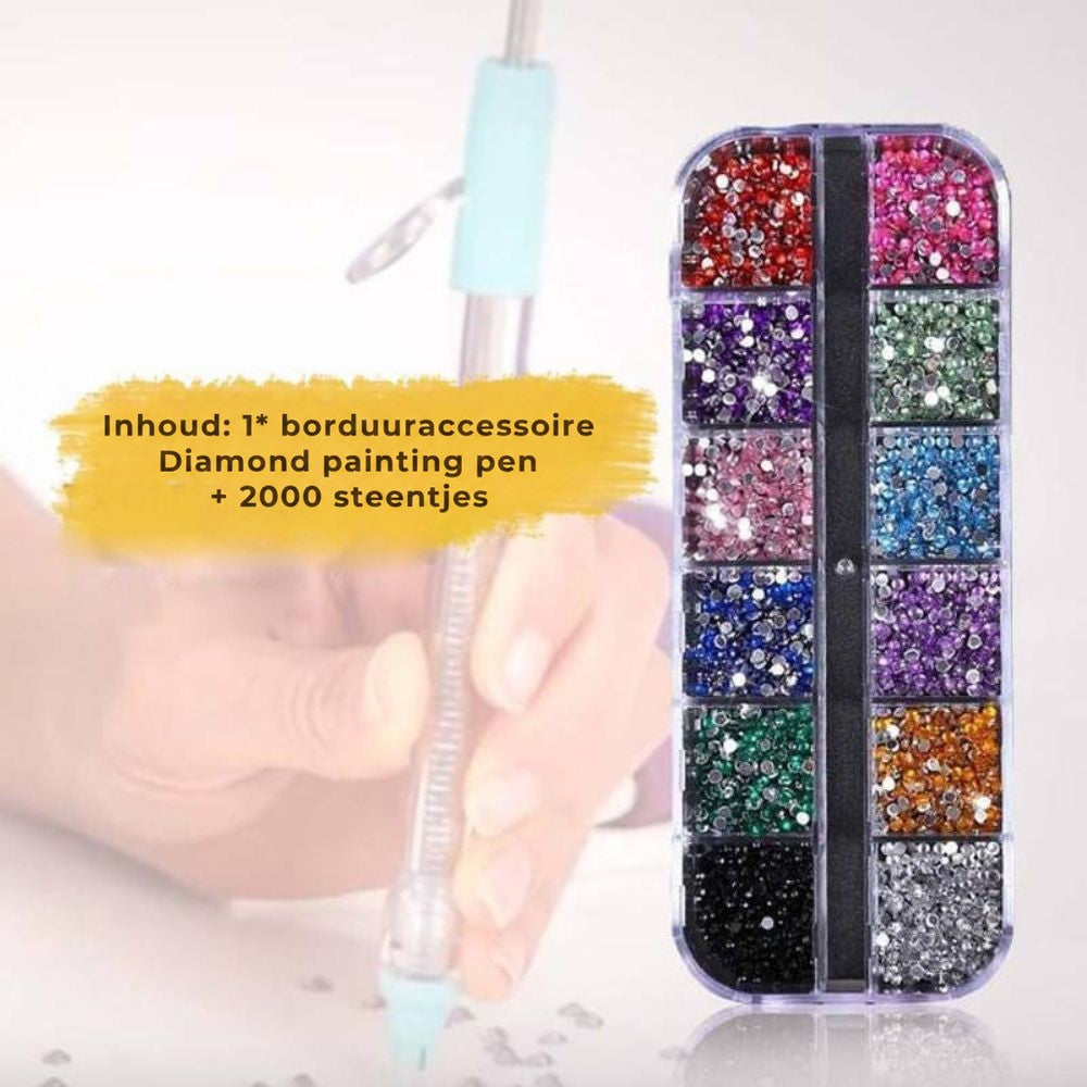 Doorzichtige pen in een hand naast een vakjesdoos met twaalf kleuren steentjes, inclusief verpakkingsinformatie 6