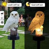 Dezelfde witte uil overdag en 's avonds naast elkaar, in een tuin met mensen aan tafel, als vergelijking van laden en oplichten. 2
