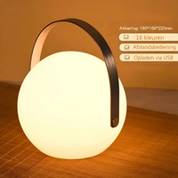 Ronde bollamp met brede zwarte handgreep op een rieten ondergrond, met afmetingen en functies erbij 7