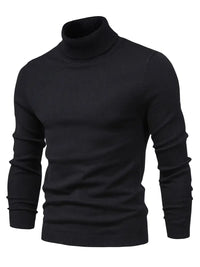 Trendiger Herrenrollkragenpullover - Lars