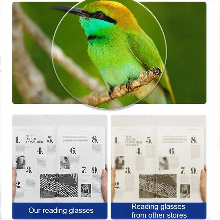 Vergelijking van een scherp vergroot beeld van een groene vogel en een leesbare krant met een wazige tekst op een andere bril. 8