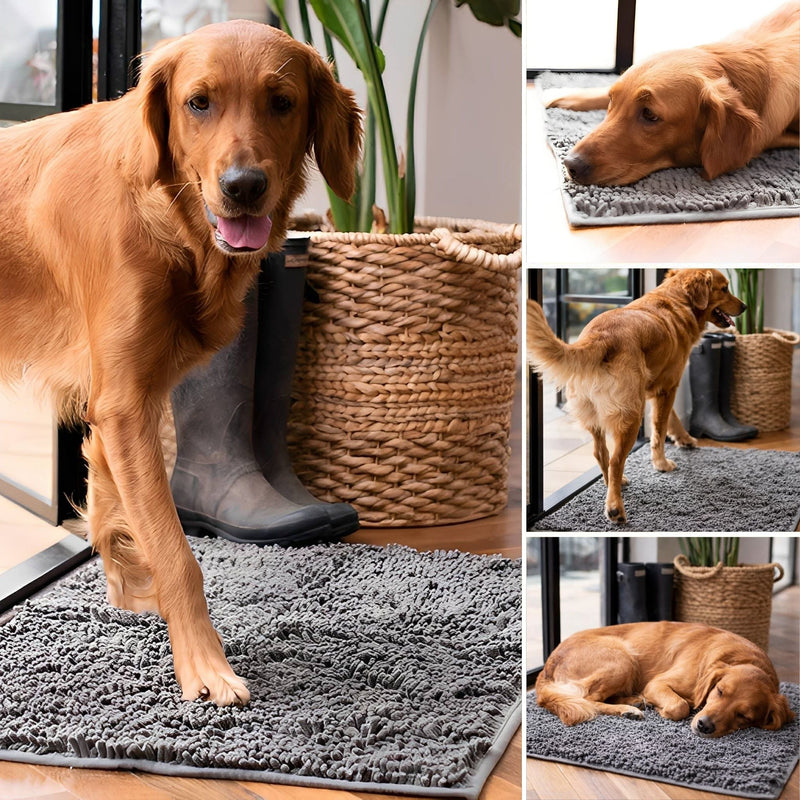 Collage van een bruine hond die de grijze mat gebruikt, loopt, ligt en slaapt in een hal met rubberlaarzen. 5