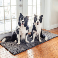 Twee zwart-witte border collies zitten op de grijze mat bij een glazen deur op een houten vloer. 10