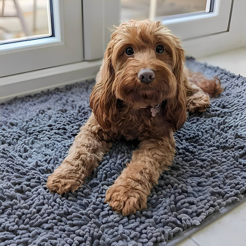 Bruine krullige hond ligt op een blauwgrijze, dikke chenille mat voor een raam. 2