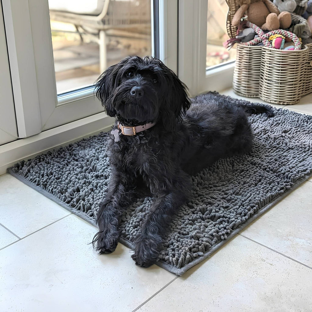 Zwarte hond met roze halsband ligt op een grijze noppenmat op een lichte tegelvloer bij een glazen deur. 3