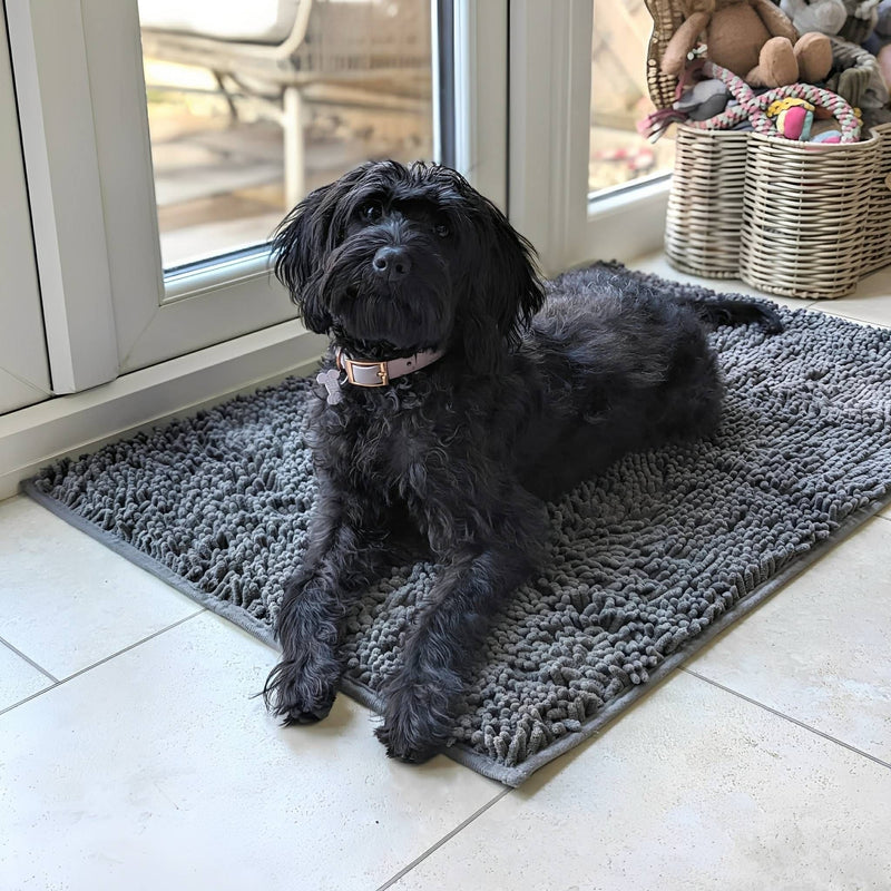 Zwarte hond met roze halsband ligt op een grijze noppenmat op een lichte tegelvloer bij een glazen deur. 3