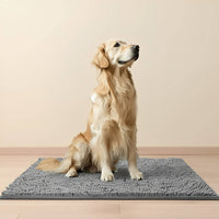 Golden retriever zit rechtop op een grijze chenille mat op een houten vloer tegen een beige muur. 1