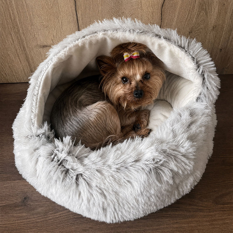Kleine Yorkshire terriër met strikje ligt opgerold in het grijze bed met halfopen kap, tegen een houten wand. 9