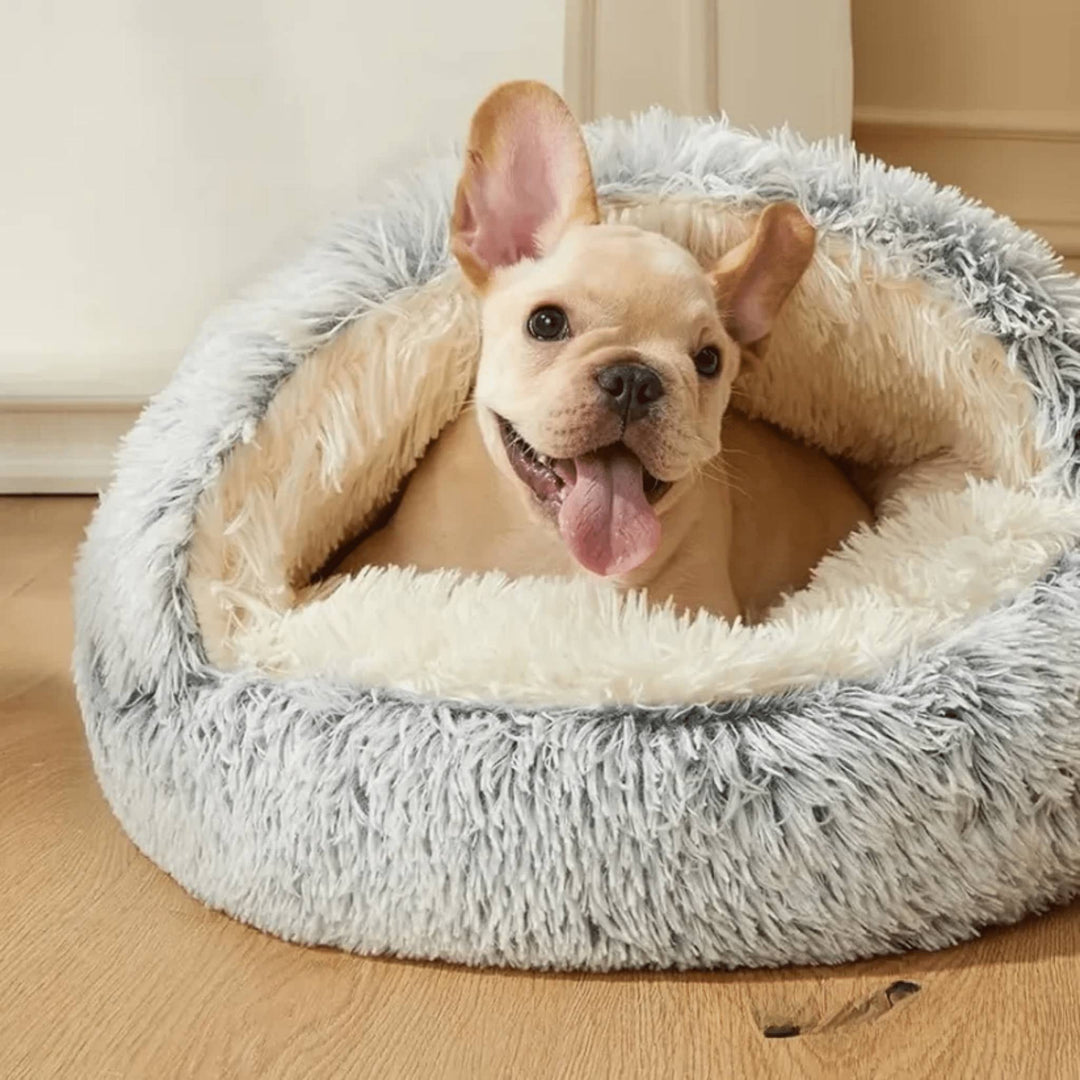 Frans bulldogpuppy met tong uit de bek ligt in de grijze pluchen grot met opengeslagen kap op een houten vloer. 1