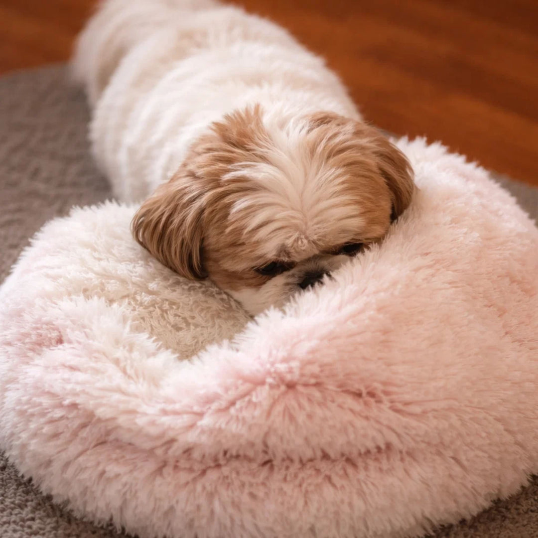 Shih tzu rust met zijn kop op de rand van het roze pluchen donutbed, gezien van boven. 12