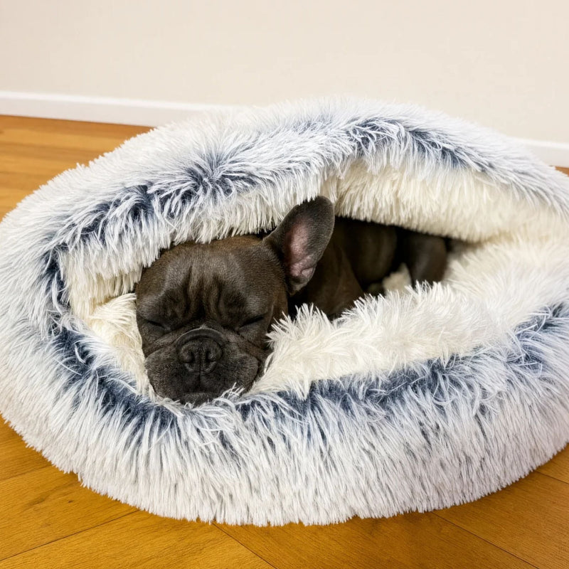 Donkere Franse bulldog slaapt opgerold in het pluche bed, met witte binnenkant en grijsblauwe uiteinden aan de buitenkant. 2