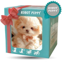 Turquoise geschenkverpakking met roze strik en kijkvenster, waarin een pluizige crèmekleurige pup met een strikje te zien is. 8