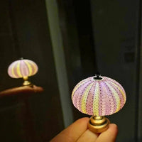 DIY Seeigel-Nachtlicht - LumiUrchin