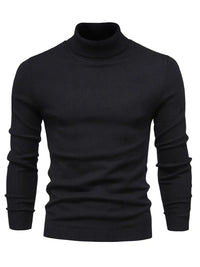 Trendiger Herrenrollkragenpullover - Lars