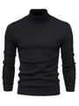 Trendiger Herrenrollkragenpullover - Lars