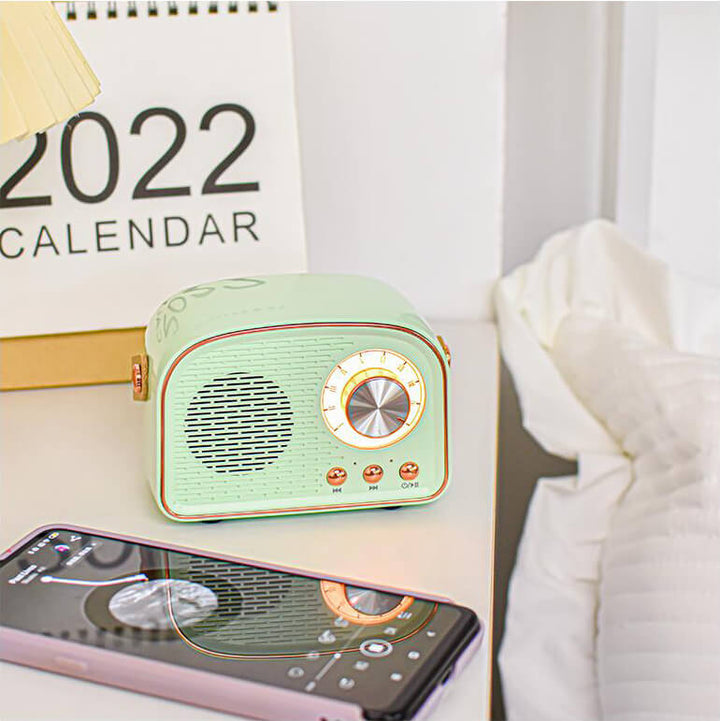 Vintage Bluetooth speaker with FM radio – RetroVibe